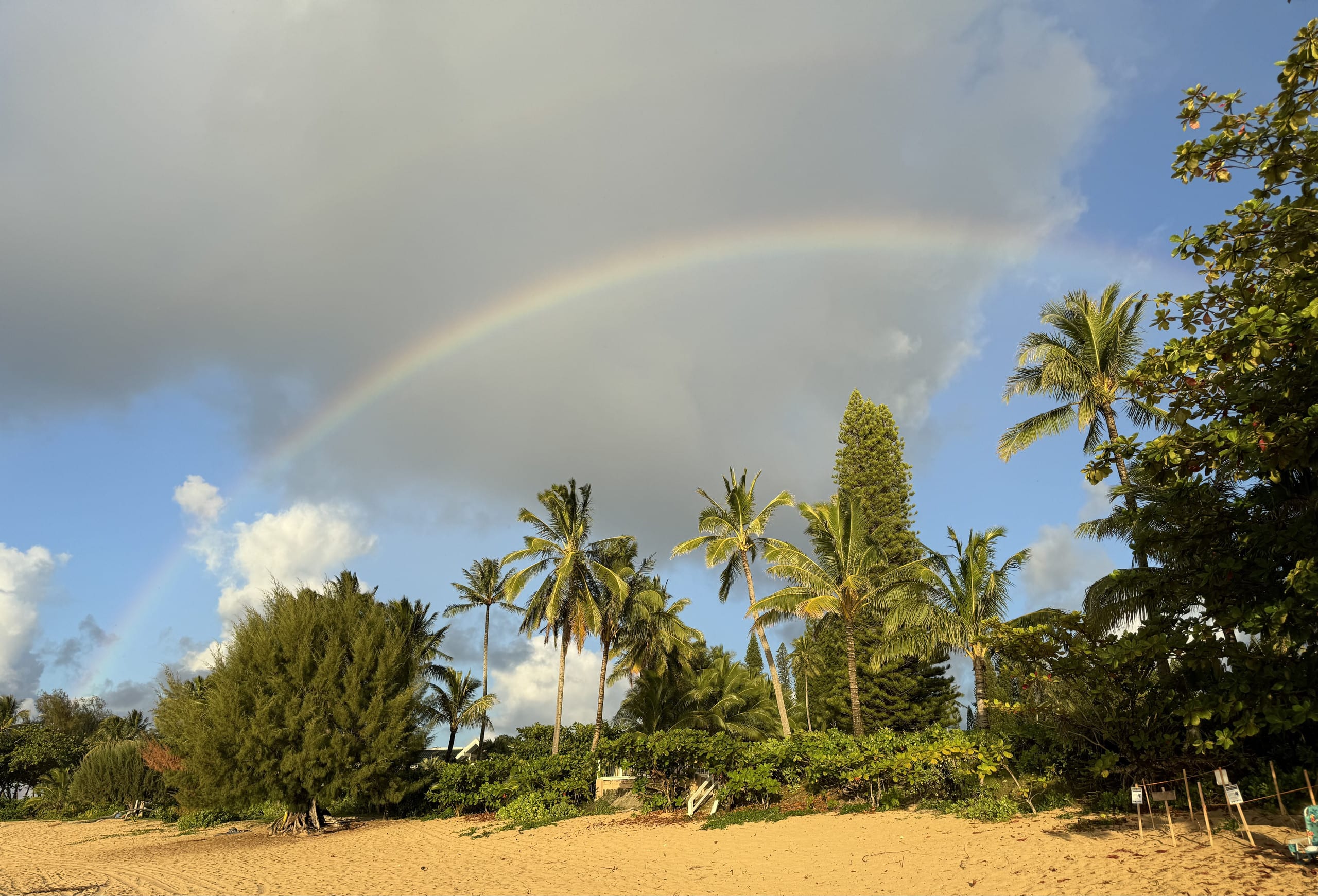 Condo in Princeville · ★4.94 · 1 bedroom · 1 bed · 1 bath - Image 24