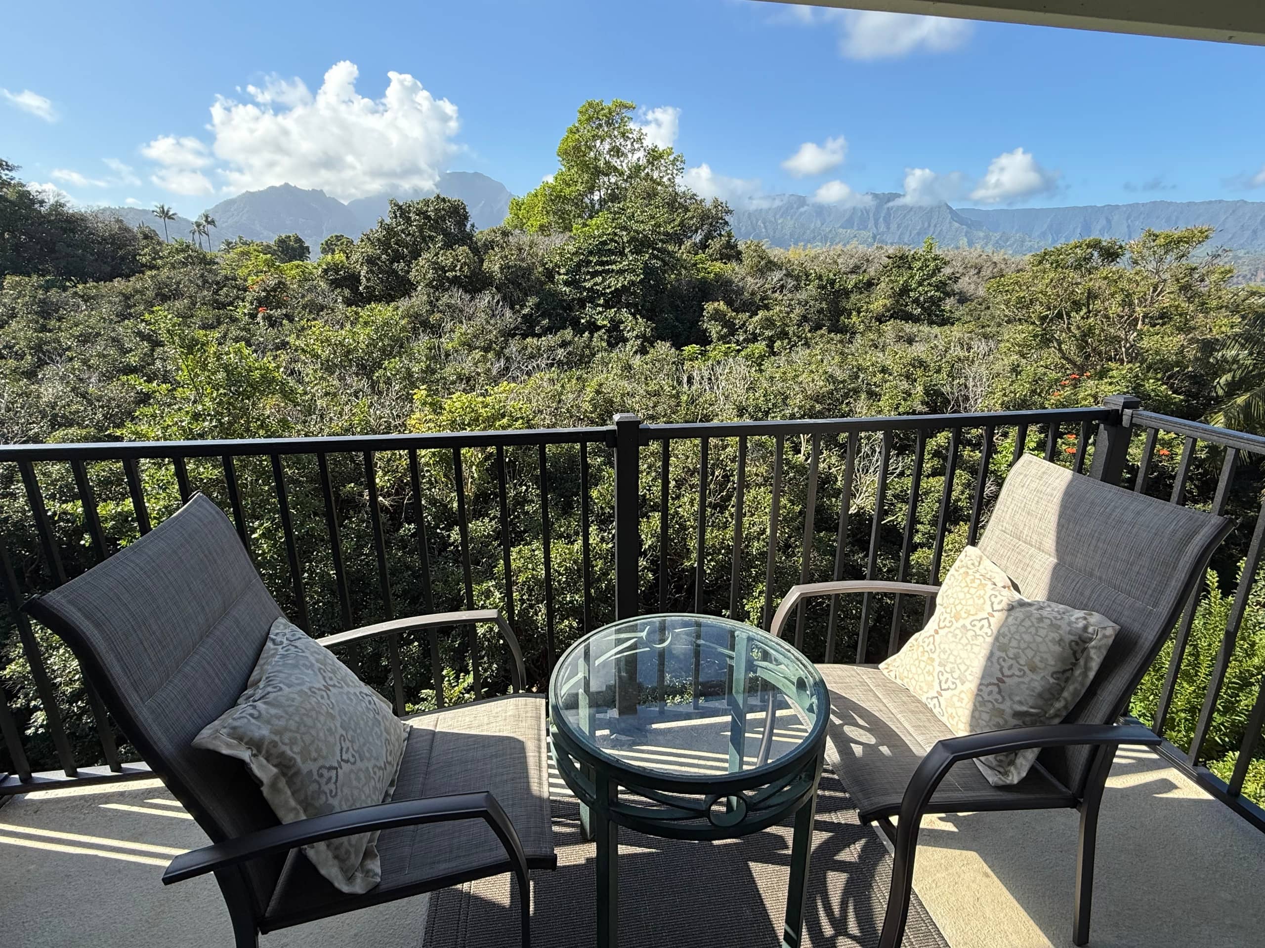 Condo in Princeville · ★4.94 · 1 bedroom · 1 bed · 1 bath - Image 23