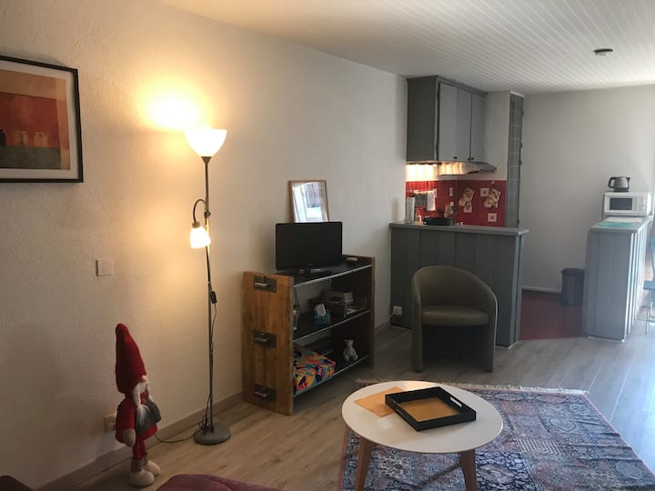 Studio Calme Dans Le Village De Filly. - Lac Léman