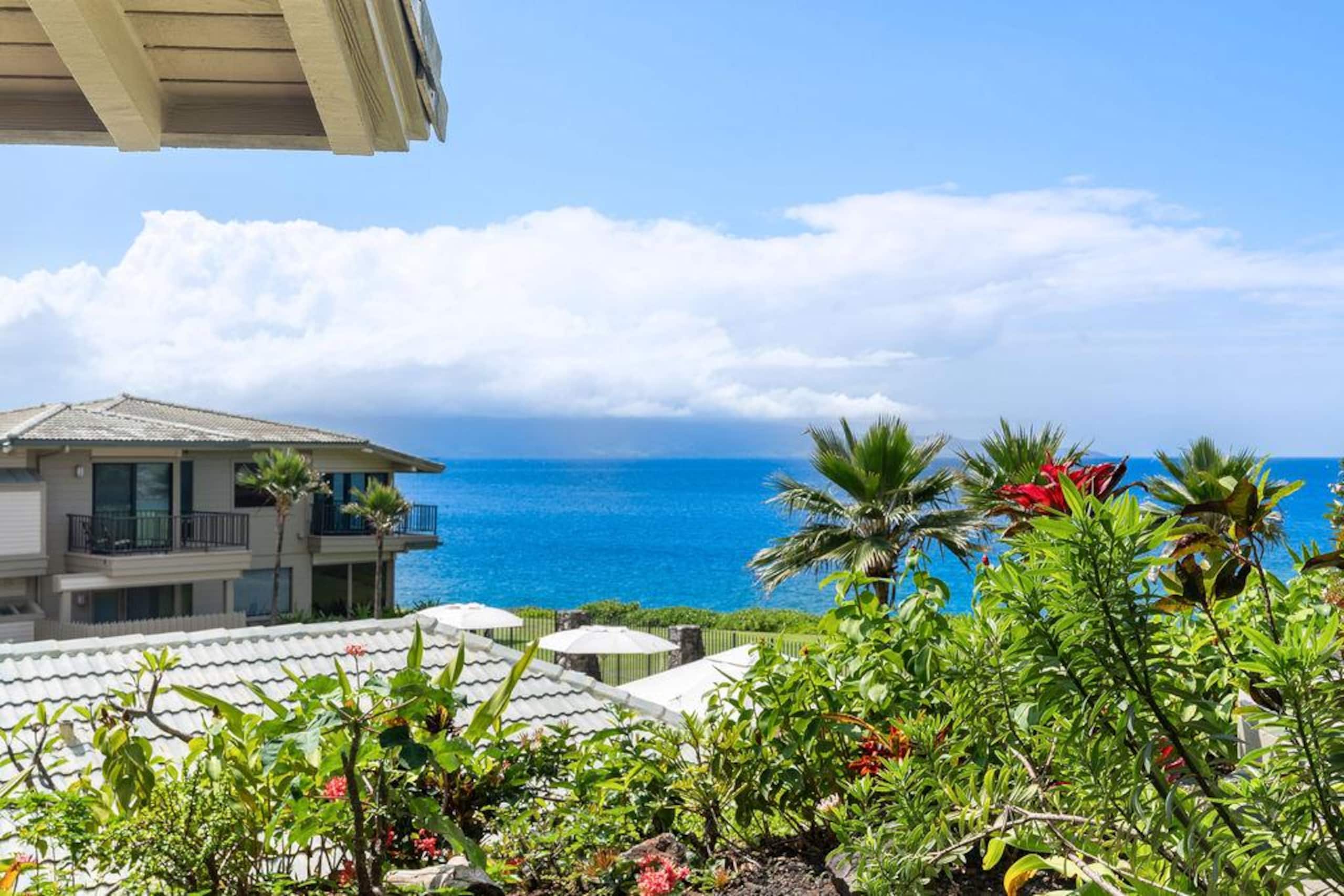 Villa in Lahaina · ★4.86 · 1 bedroom · 2 beds · 1.5 baths - Image 64