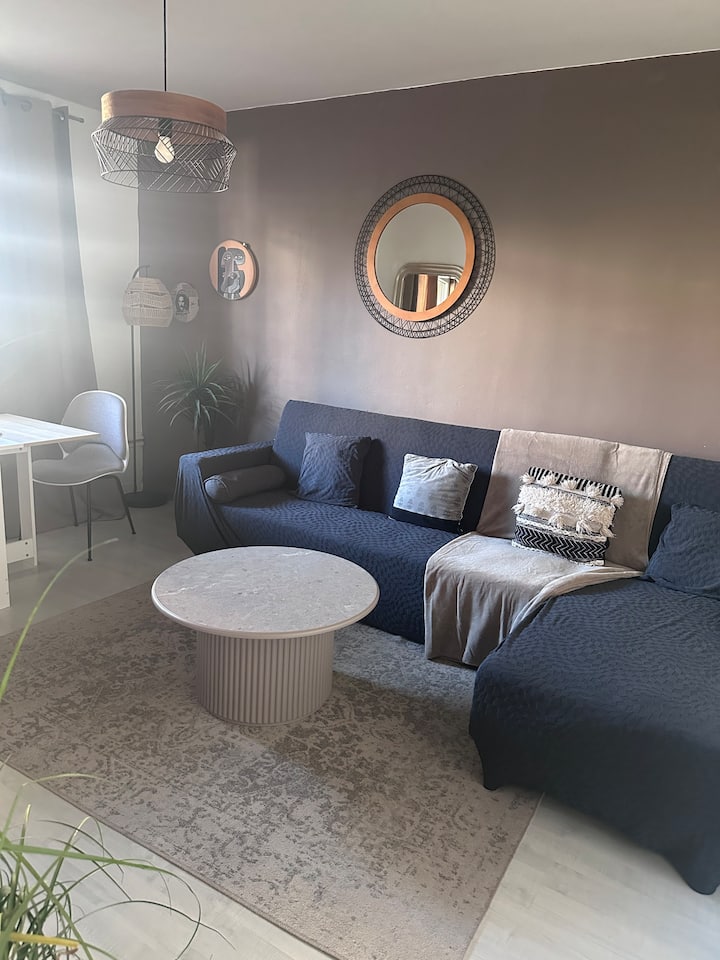 Joli T2 Cosy - Villeurbanne