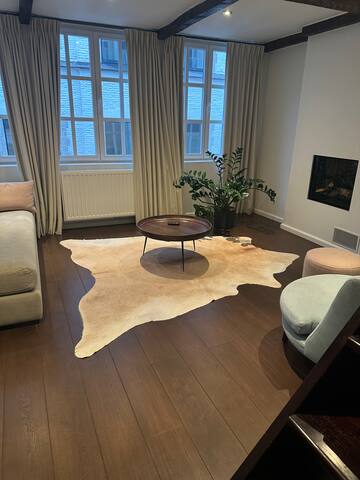 Amazingly located beautiful home in Gent centre gallery image 4