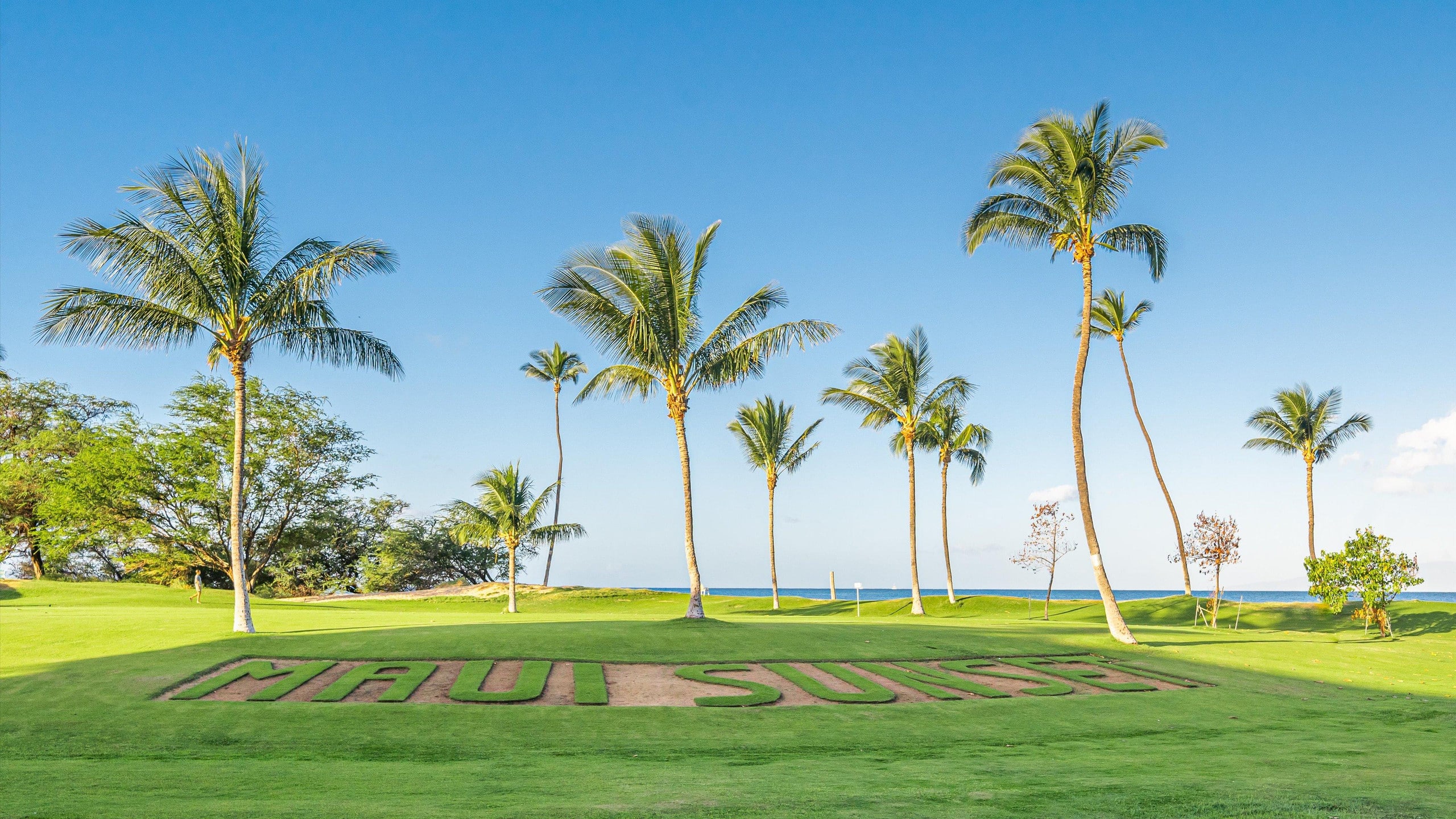 Condo in Kihei · ★4.88 · 1 bedroom · 3 beds · 2 baths - Image 57