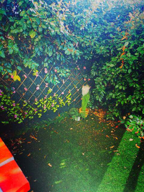 relaxation area HOT TUB GARDEN POOL T3 PARKING