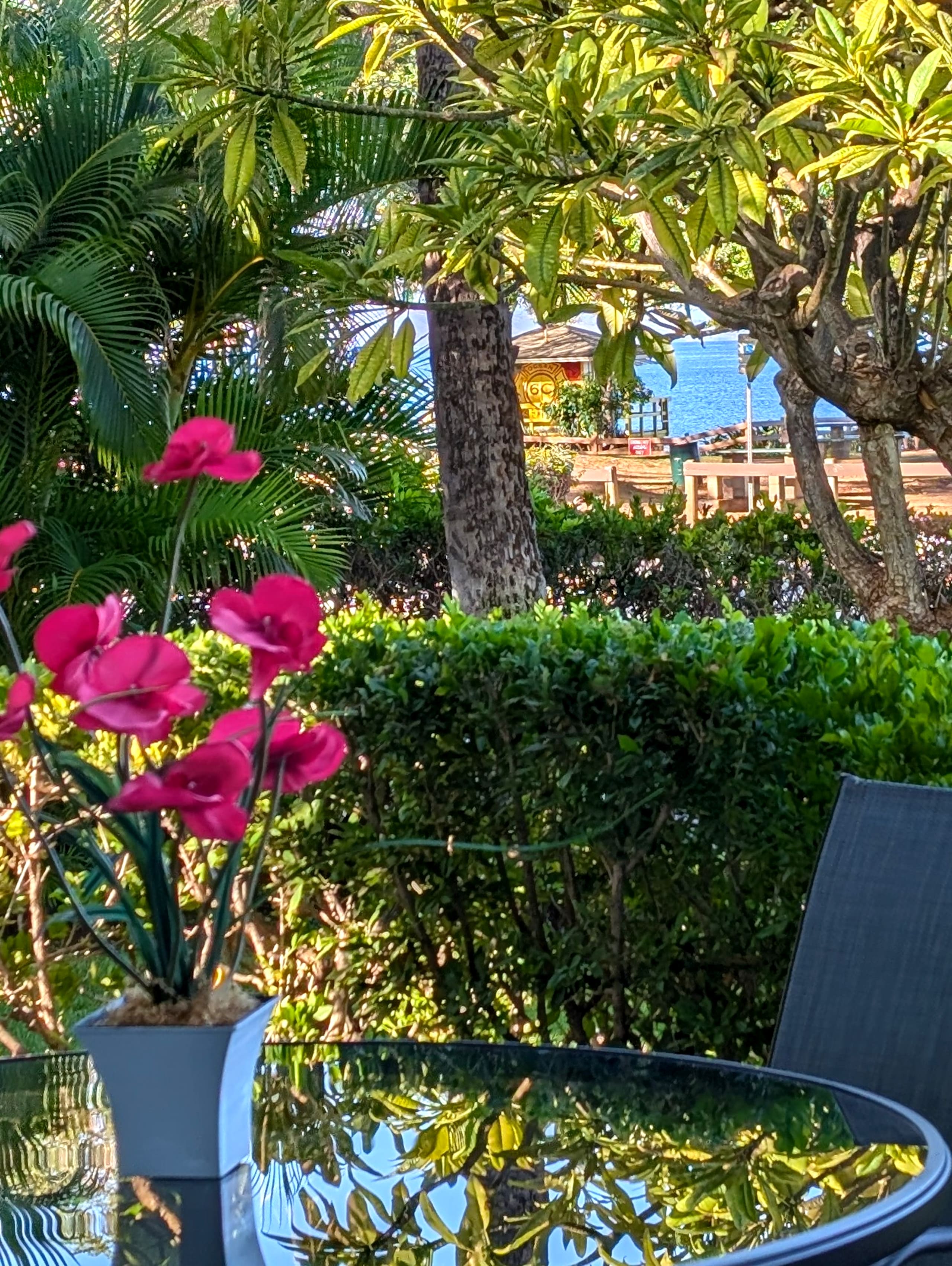 Condo in Kihei · ★4.87 · 2 bedrooms · 3 beds · 2 private baths - Image 48