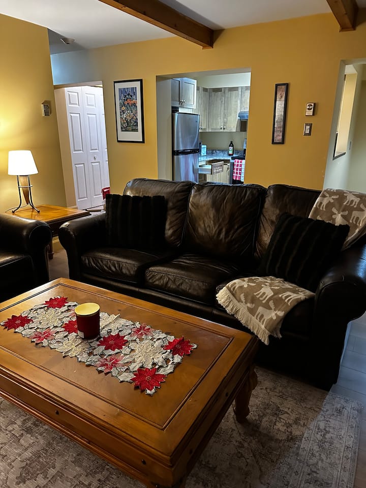 Lakefront Facing Ski Hills 1 Bedroom Condo - 몽-뜨헝블렁
