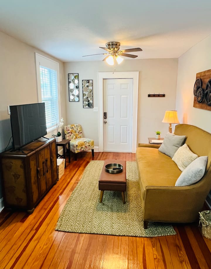 Stylish 1 Bedroom Unit In The Heart Of St. Pete - St. Petersburg