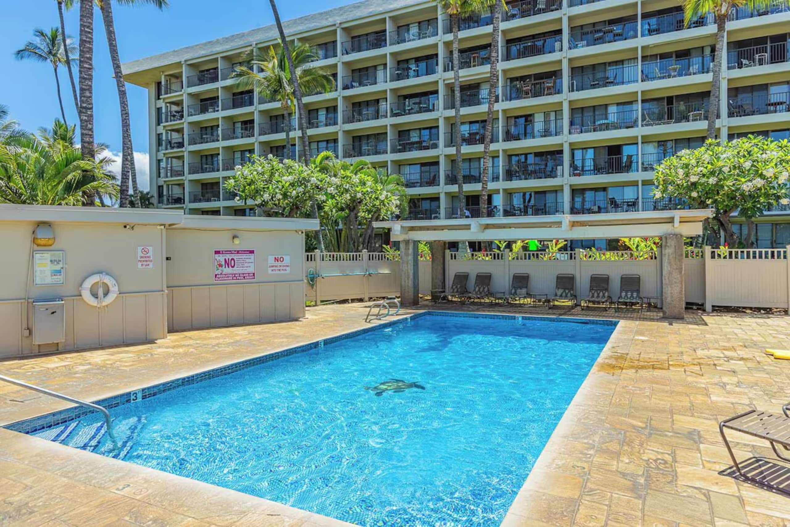 Condo in Kihei · ★4.64 · 1 bedroom · 4 beds · 1 bath - Image 78