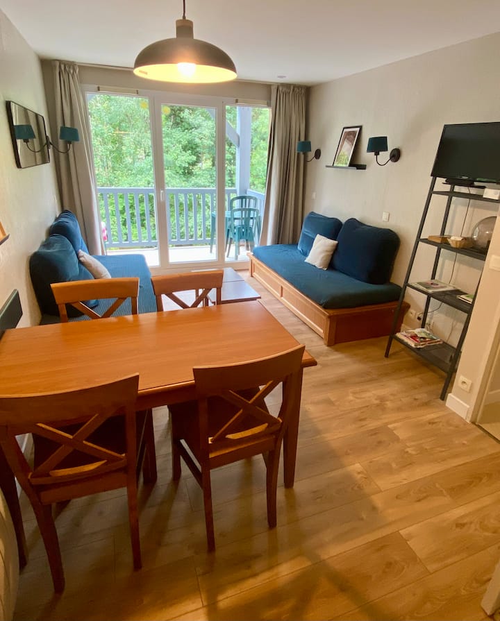 Appartement Vue Sur Montagne Idéal Cure - Saint-Lary-Soulan