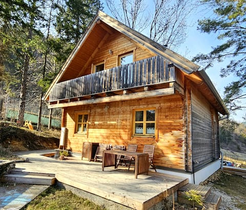 Holiday home Hengsttal - Puchberg am Schneeberg