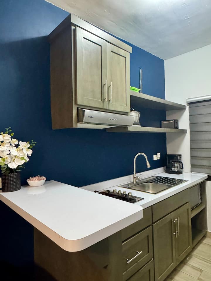 “Departamento Zona Centro” - Piedras Negras