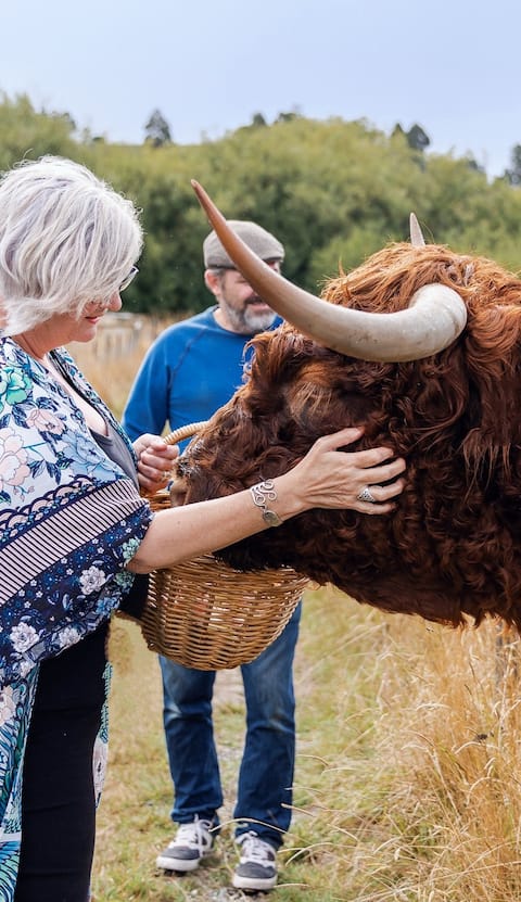 The Barn, where time slows and hairy moos roam.