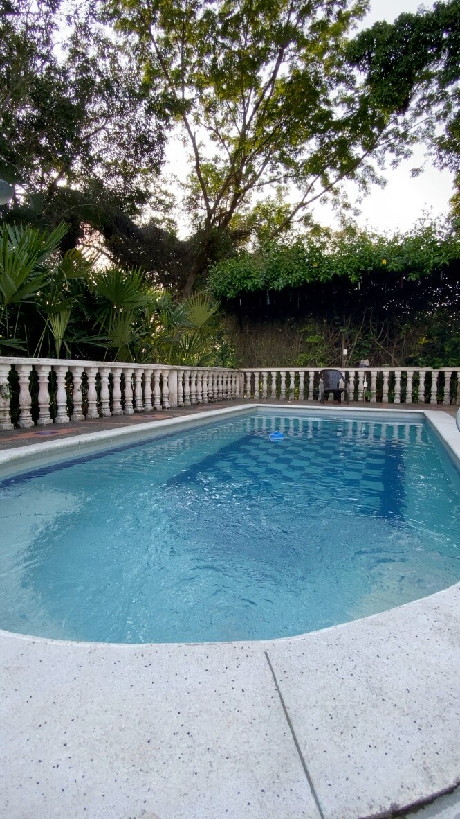 A refreshing pool is surrounded by a white stone deck and a decorative railing, framed by lush greenery. The water reflects the sunlight, creating a serene atmosphere. Trees and plants provide a natural backdrop, contributing to a sense of privacy.
