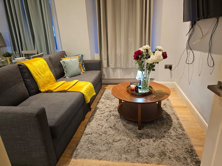 Central London Modern Apartment By Paddington - Marylebone
