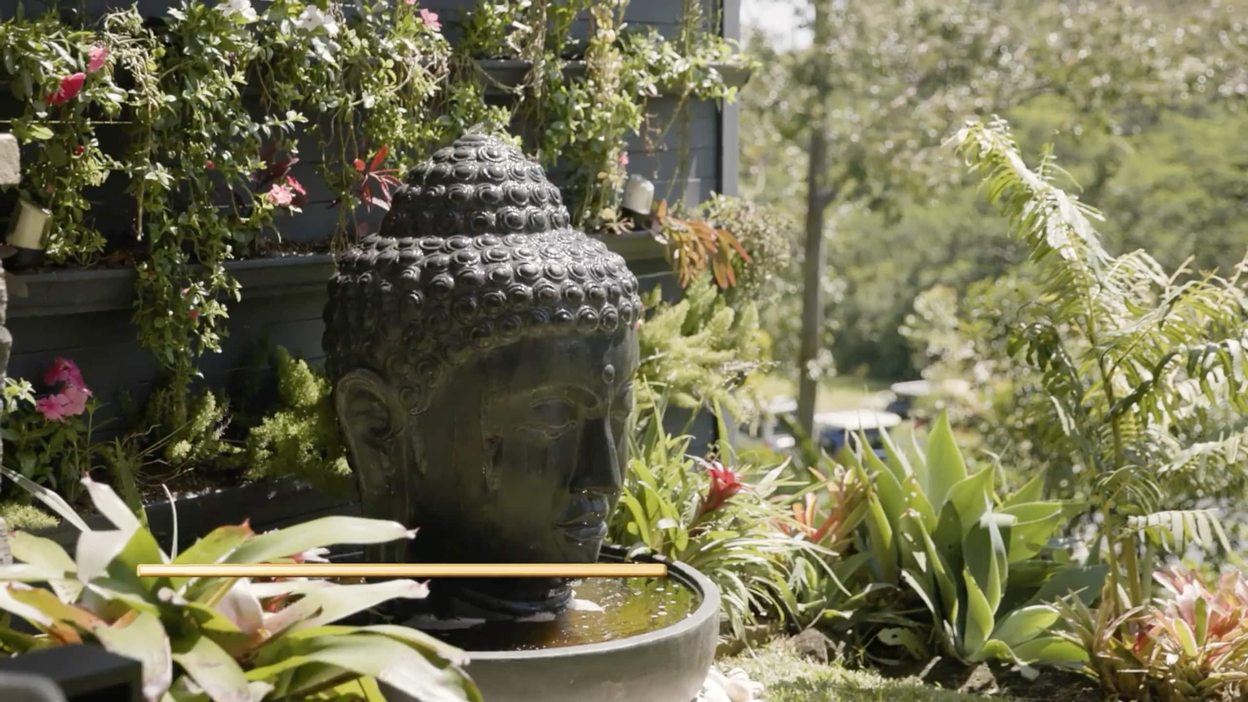Ho’oko’ana Maui Farm Stay. On Staycation TV - Photo 11