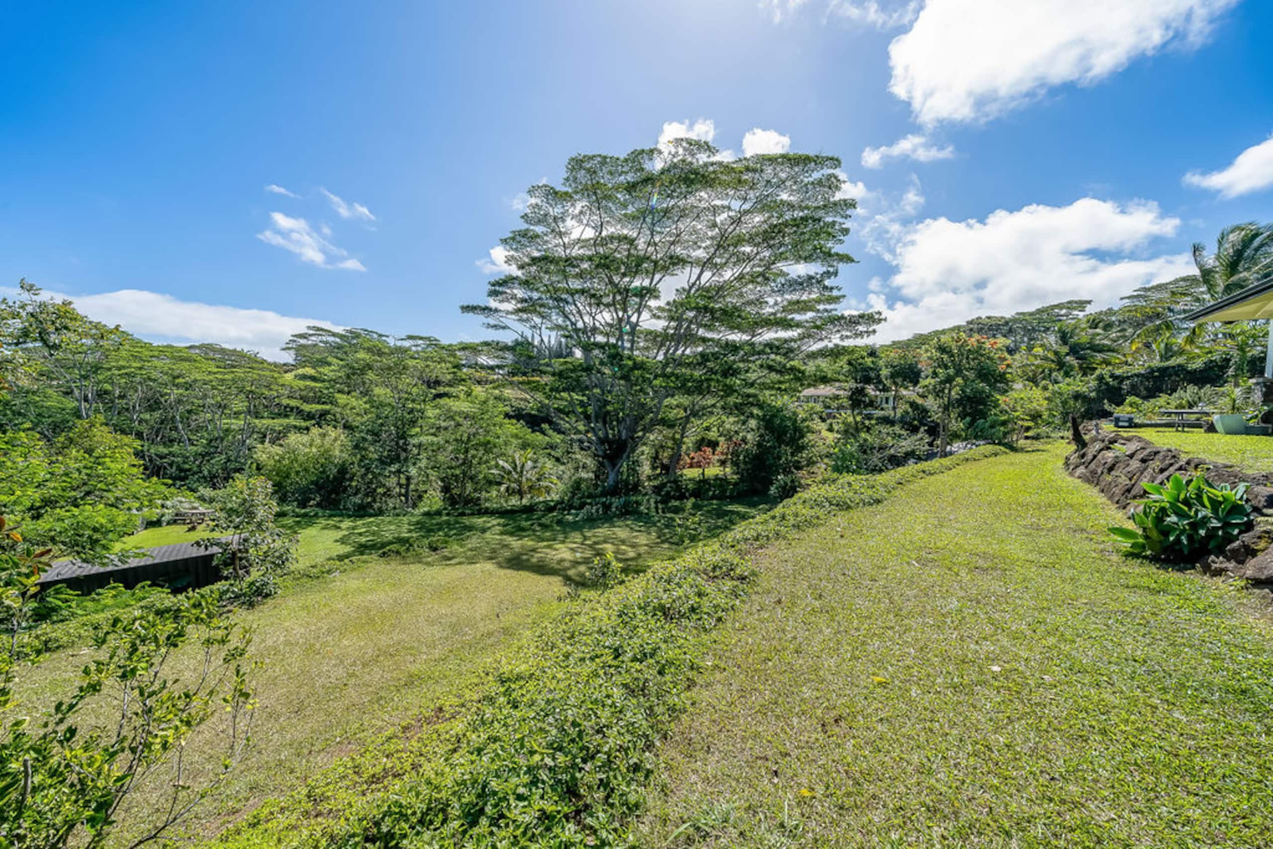Ho’oko’ana Maui Farm Stay. On Staycation TV - Photo 66