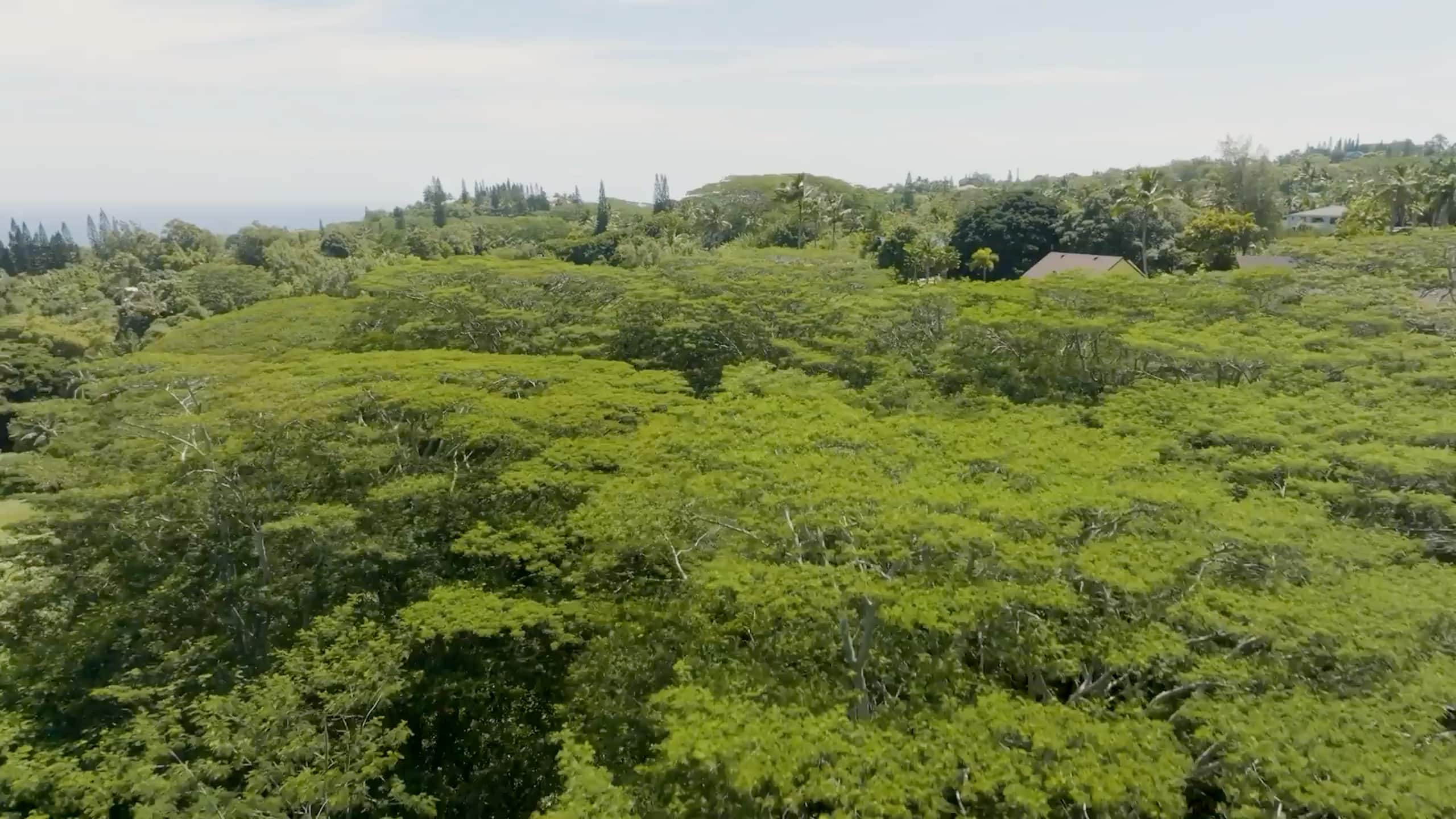 Ho’oko’ana Maui Farm Stay. On Staycation TV - Photo 102