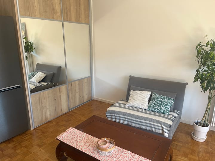 Studio Cosy Au Calme Proche Annecy - Annecy