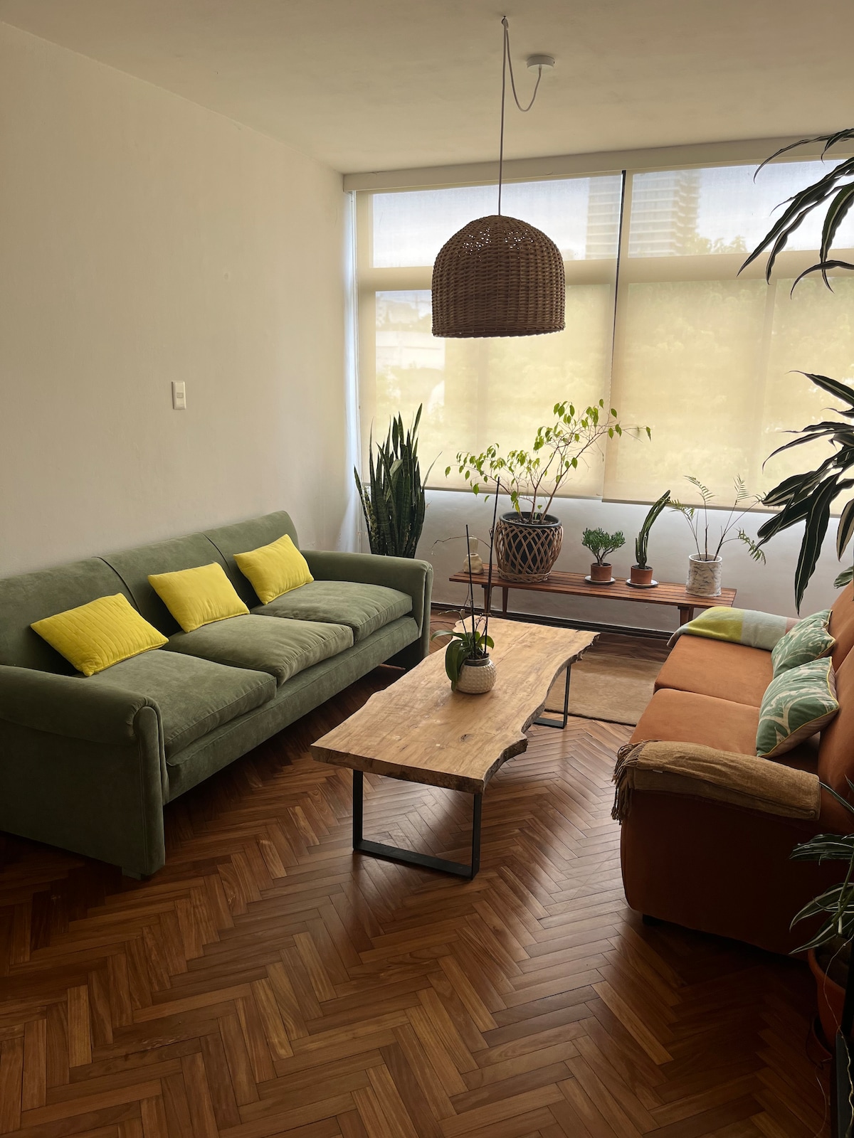 A cozy living area features a green sofa adorned with yellow cushions, complemented by an orange couch nearby. A wooden coffee table sits centrally, surrounded by various potted plants on a wooden shelf. Natural light filters through large windows, enhancing the space.