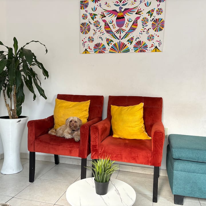 Casa Sola Con Alberca Climatizada En Cuautla - Cuautla