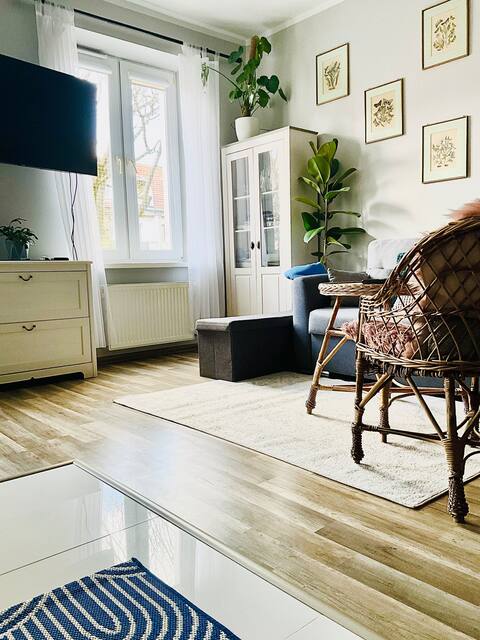 Old Town Apartment