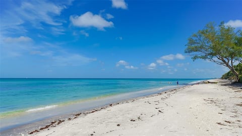 Private Beach-Luxury 4BR+SUPs&Kayaks-Pets-BBQ