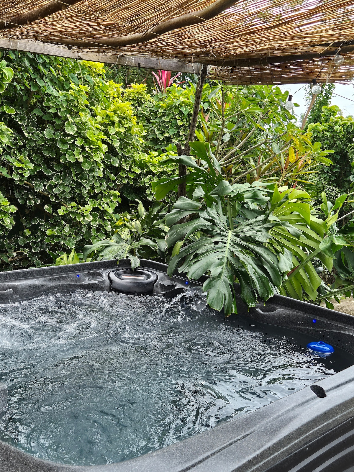 A sheltered hot tub is surrounded by lush greenery, providing a tranquil retreat. Vibrant tropical plants enhance the natural setting, while the water surface reflects the sunlight filtering through the overhead canopy.