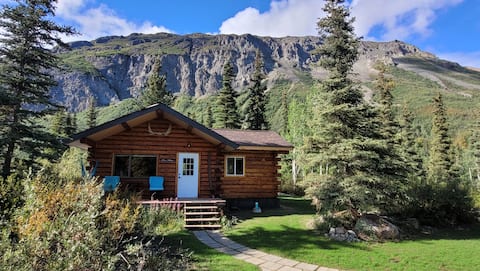 Cozy and relaxing Blue Moon log cabin in mountains