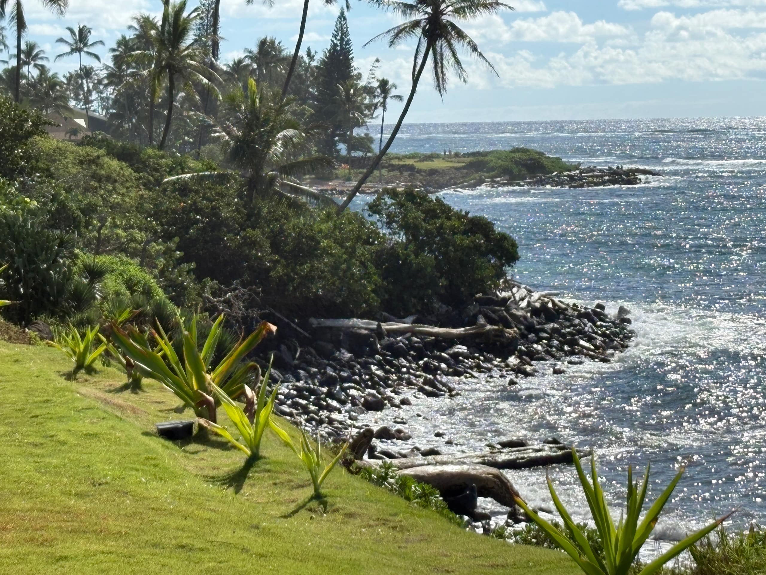 Beautiful OCEANFRONT Kauai Condo with beach access - Photo 30