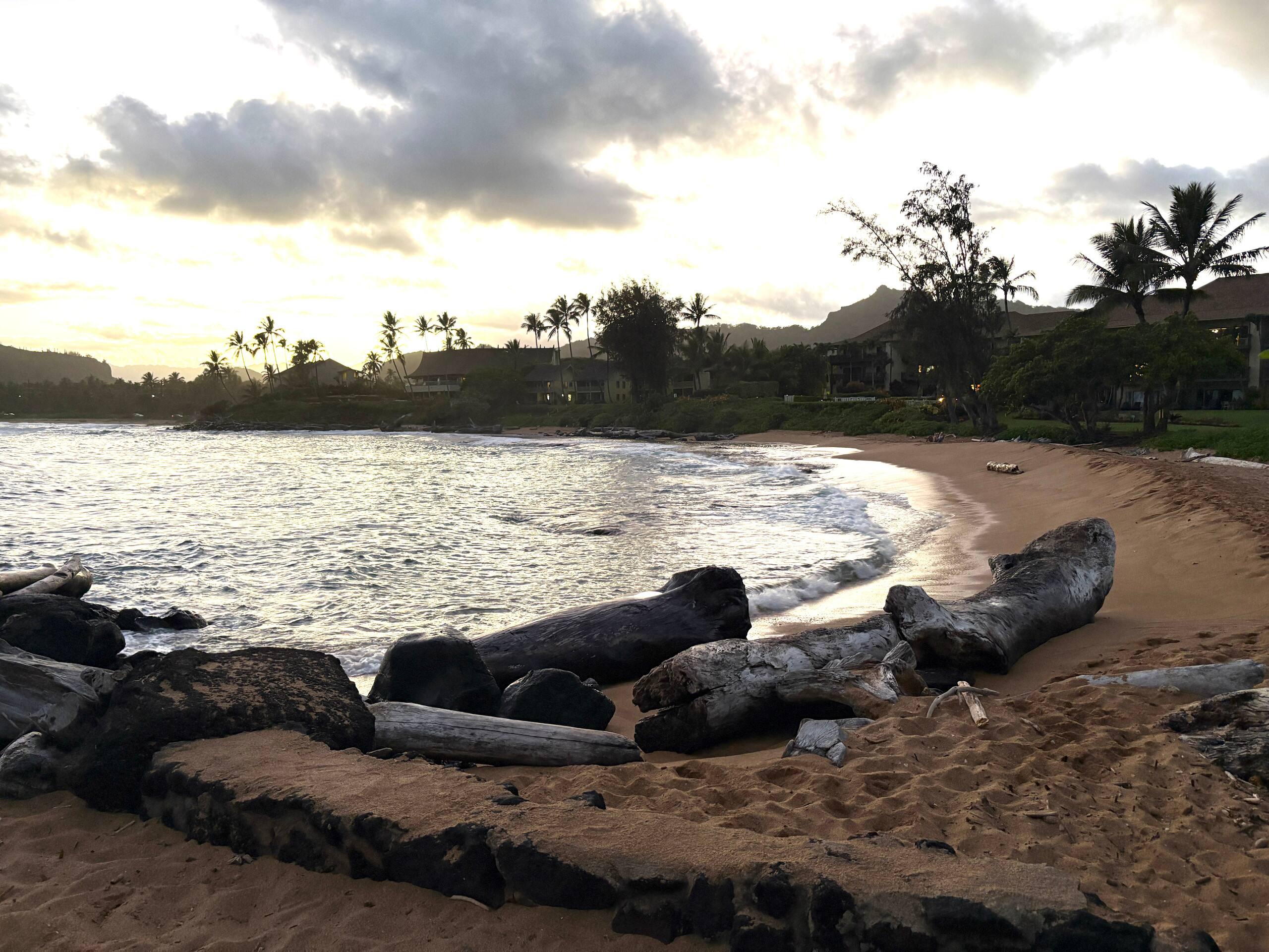 Beautiful OCEANFRONT Kauai Condo with beach access - Photo 31
