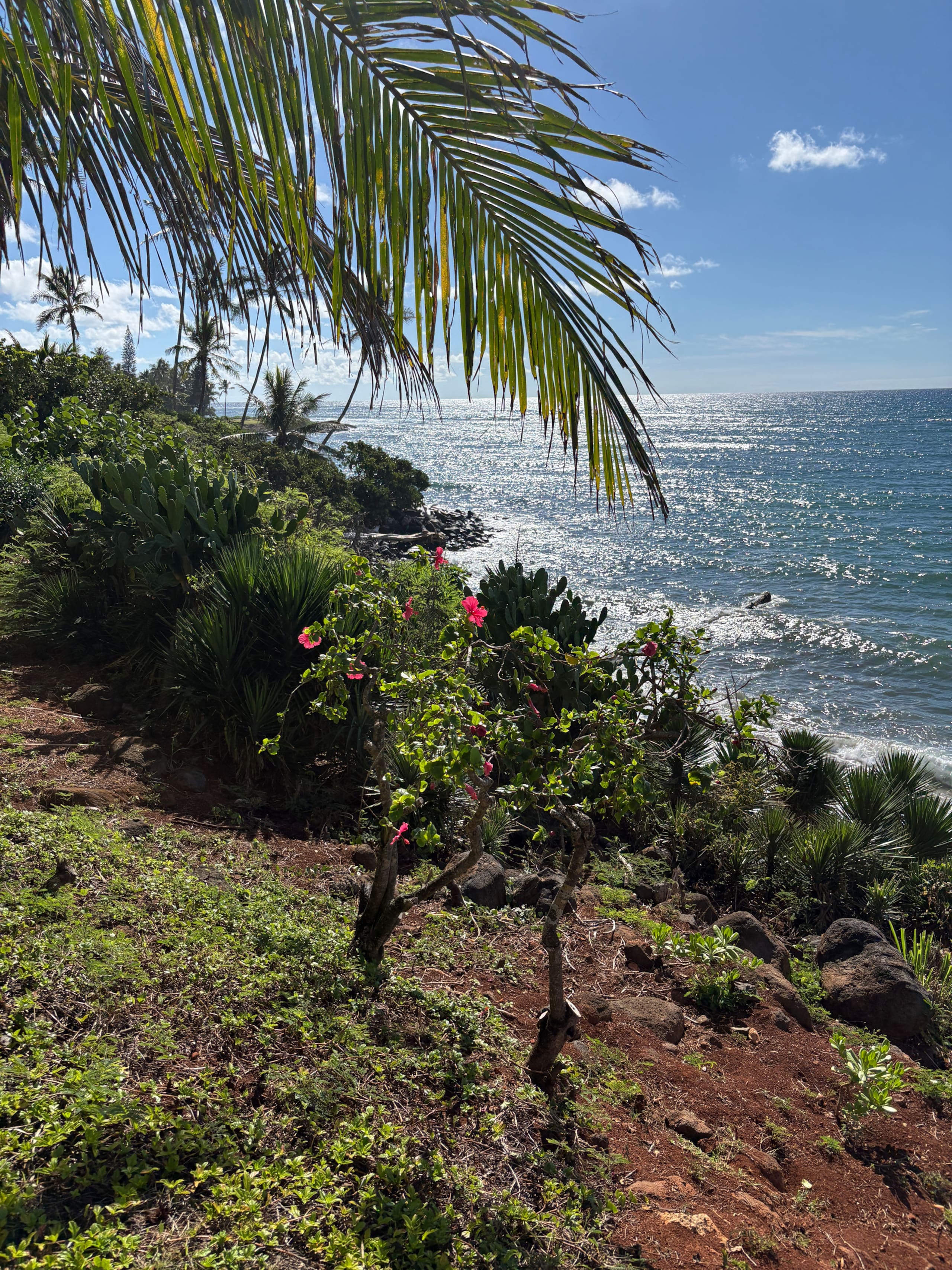 Beautiful OCEANFRONT Kauai Condo with beach access - Photo 35