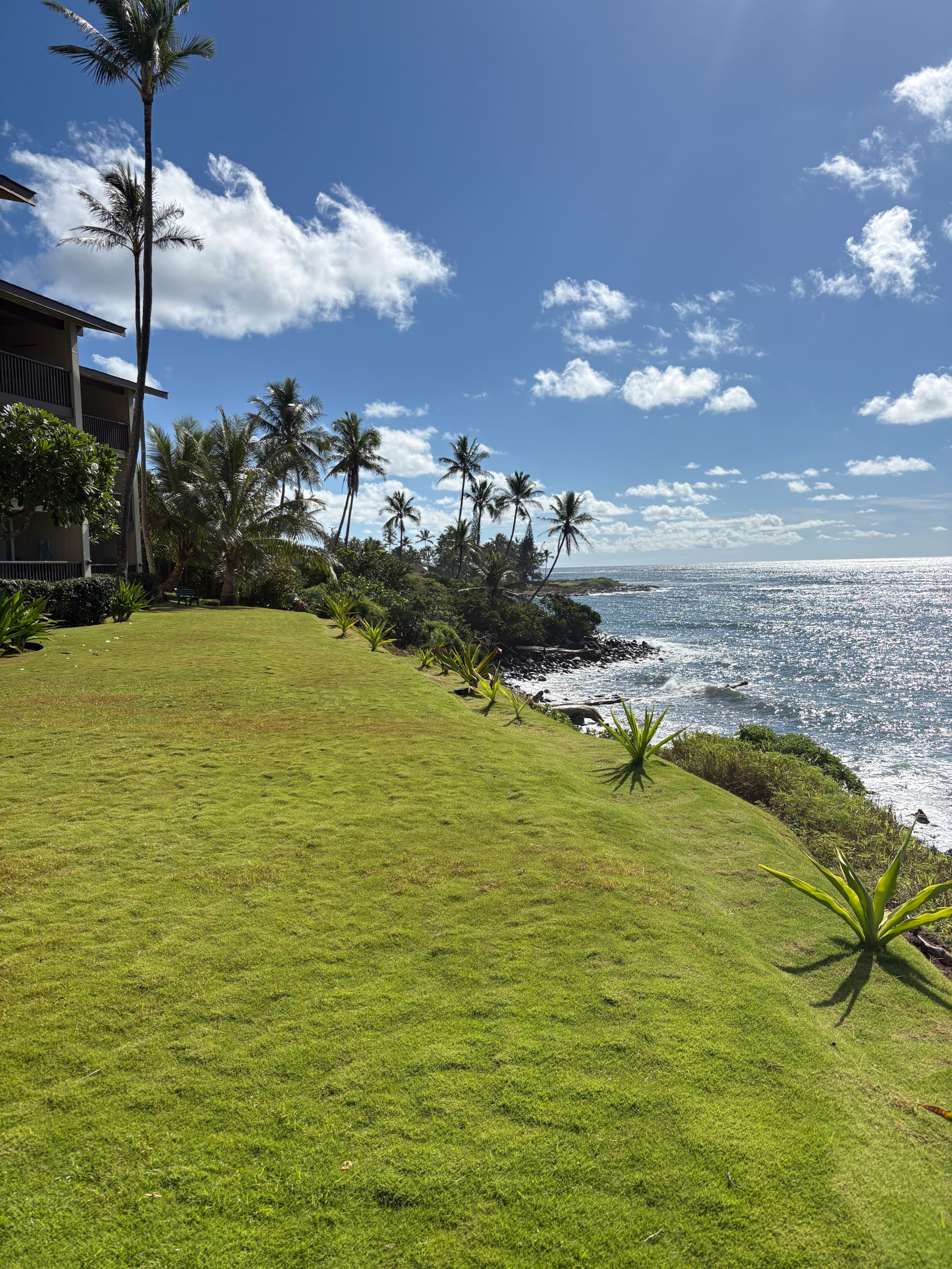 Beautiful OCEANFRONT Kauai Condo with beach access - Photo 34