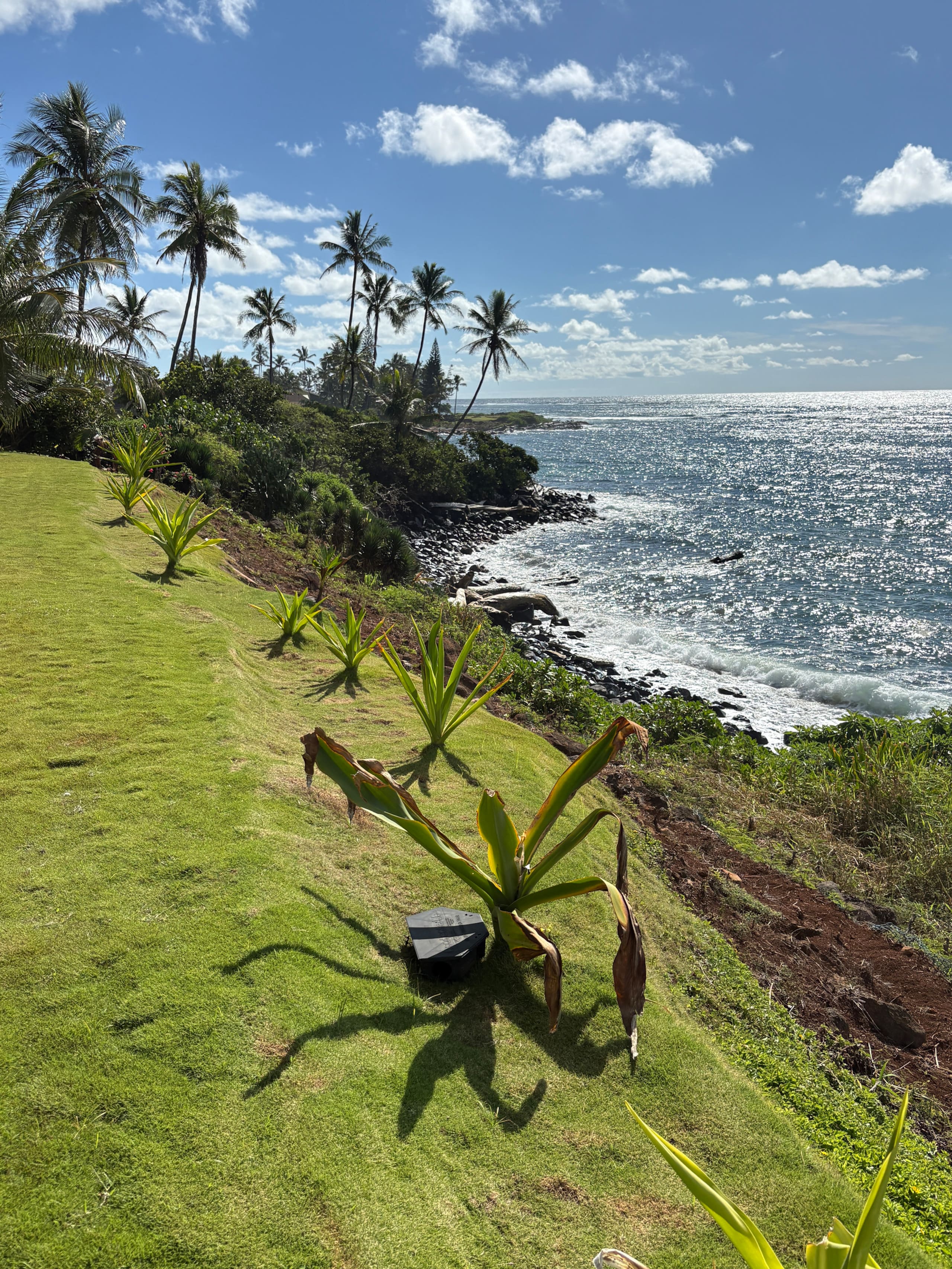 Beautiful OCEANFRONT Kauai Condo with beach access - Photo 32