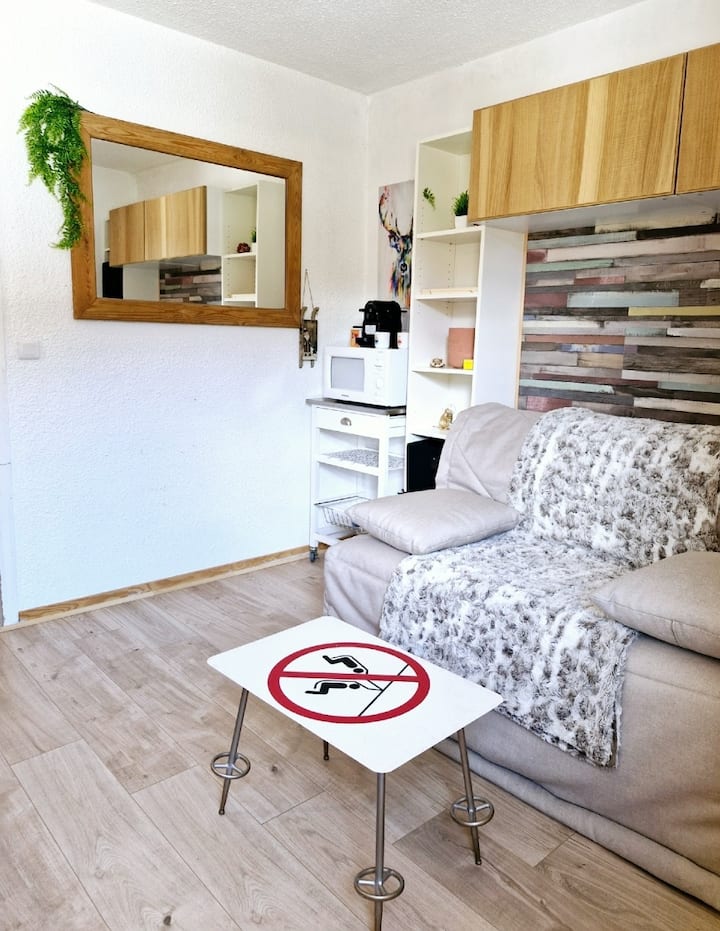 Studio Chaleureux 2/3 Pers.
Accès Pistes à Pieds - Valdeblore