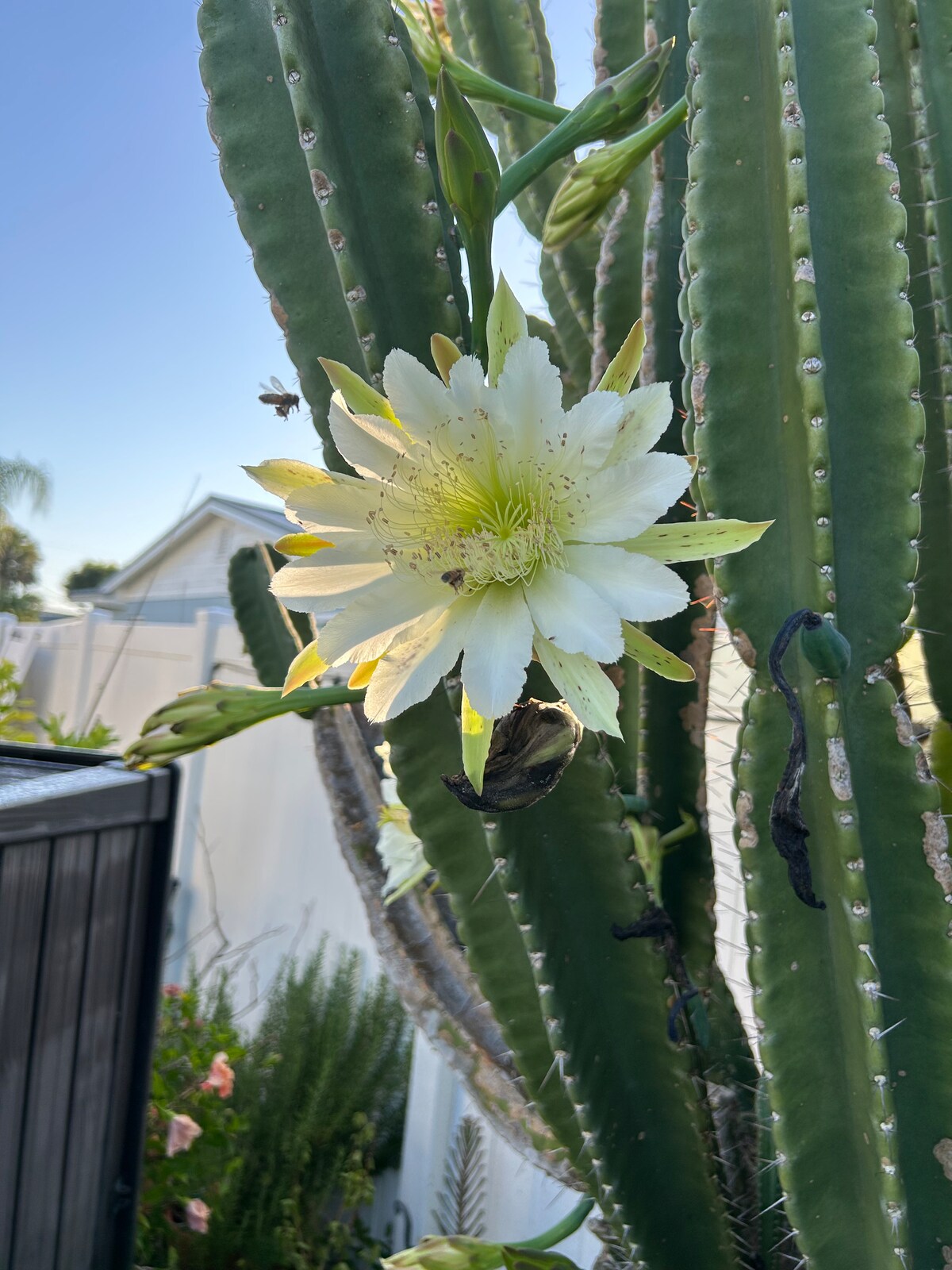 Ormond Oasis Retreat