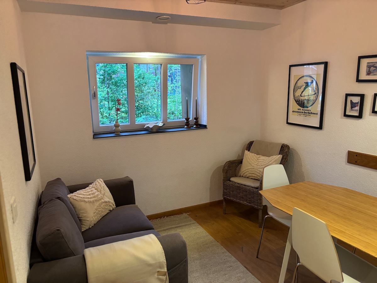 Successful Airbnb property: Holiday apartment in Engelberg - Galtiberg in Engelberg