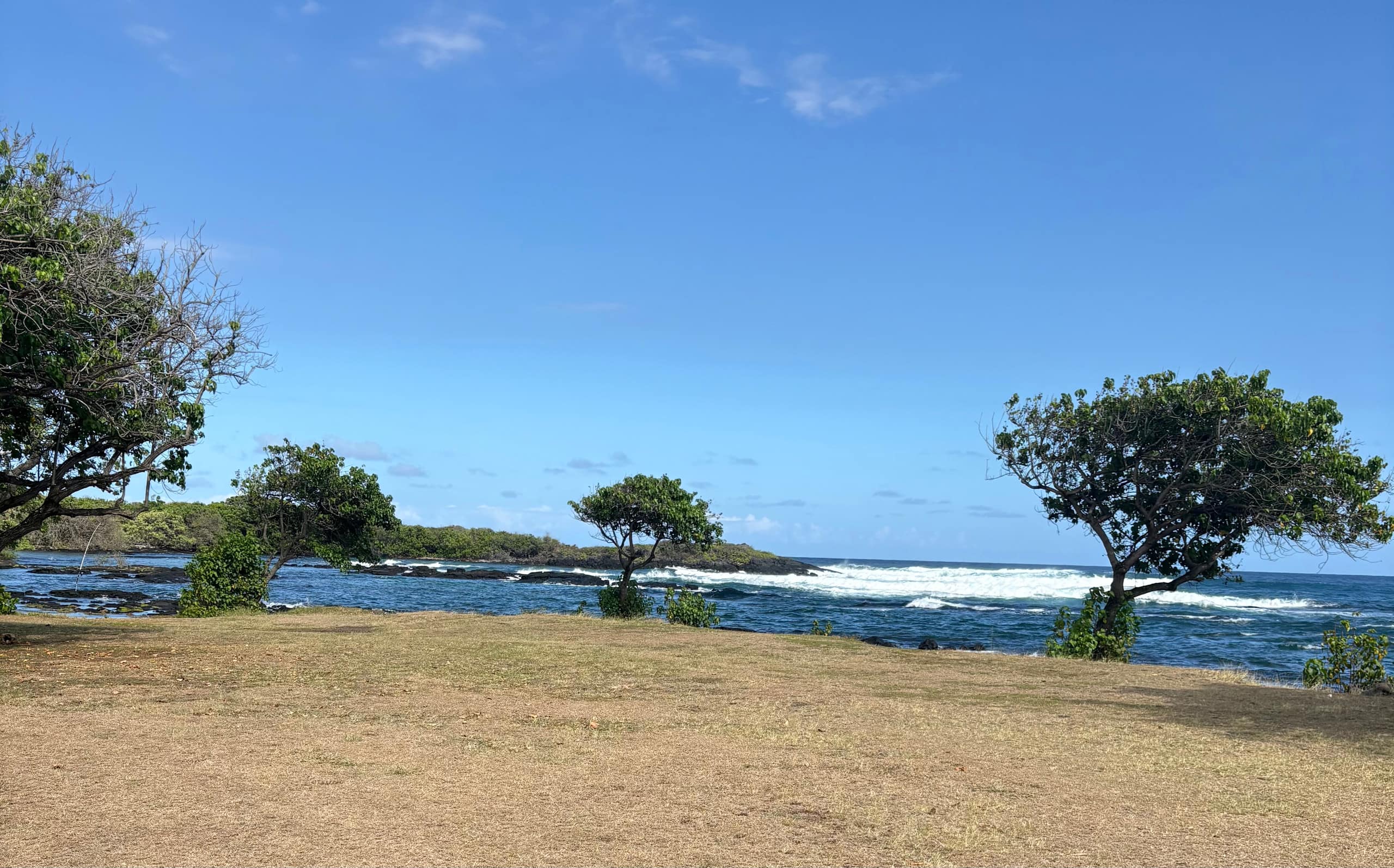 Guesthouse in Naalehu · ★4.46 · 2 bedrooms · 2 beds · 1 private bath - Image 82