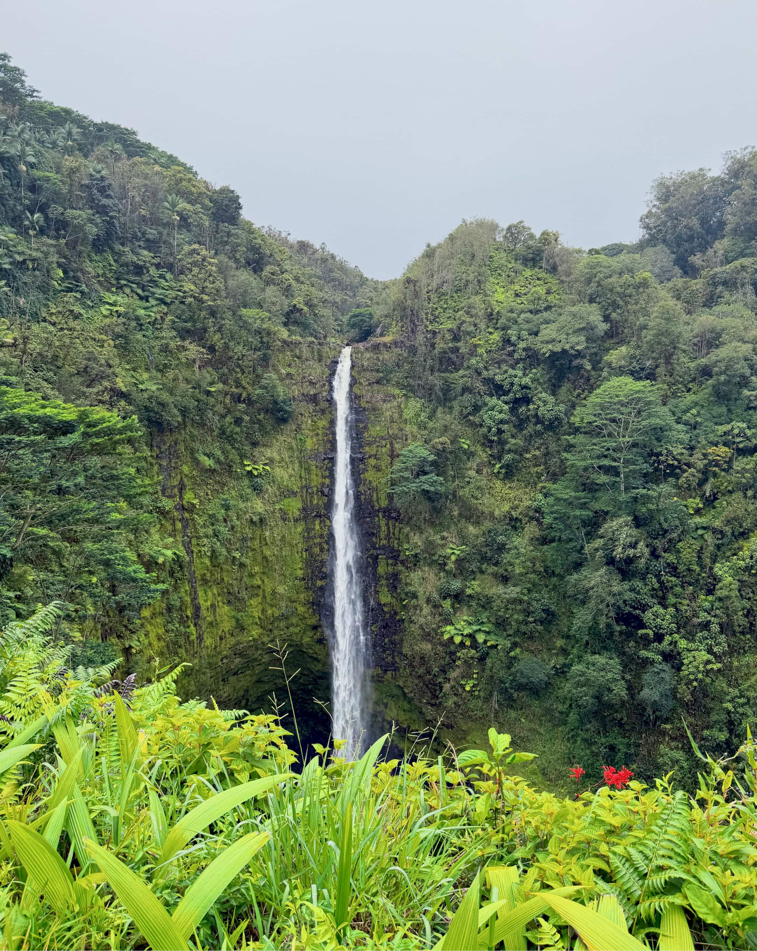 Guesthouse in Naalehu · ★4.46 · 2 bedrooms · 2 beds · 1 private bath - Image 71
