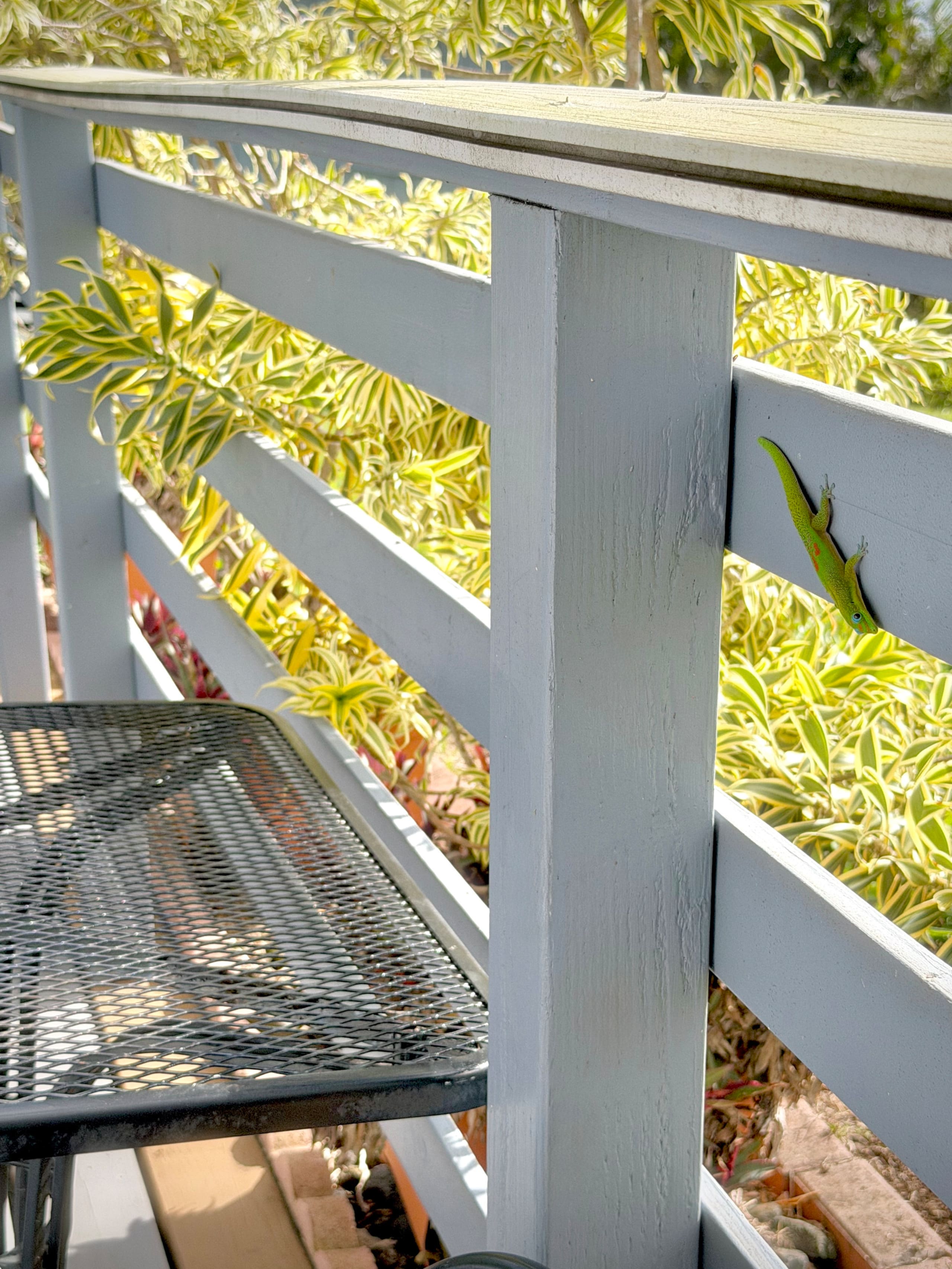 Guesthouse in Naalehu · ★4.46 · 2 bedrooms · 2 beds · 1 private bath - Image 66