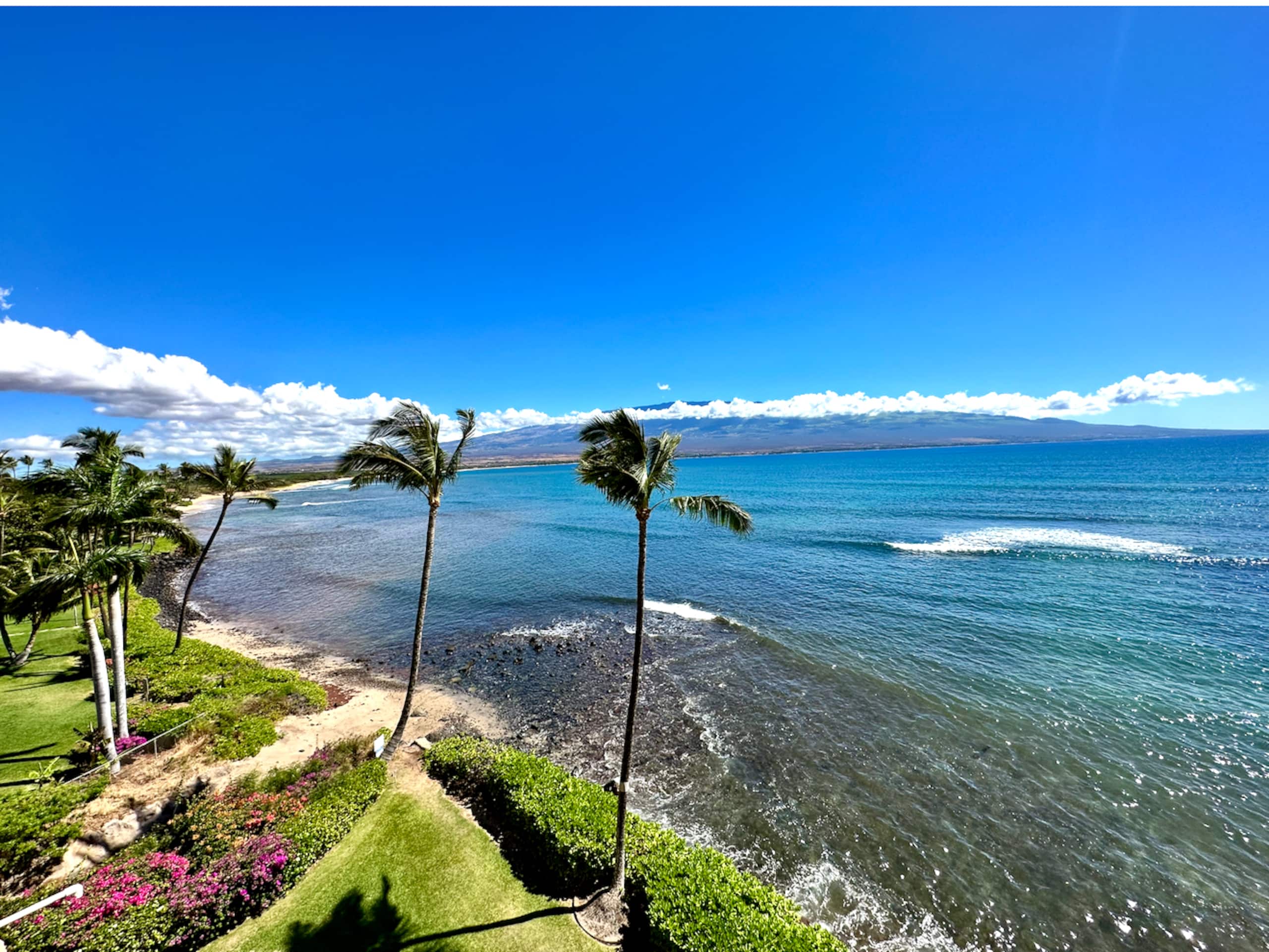 Condo in Wailuku · ★4.83 · 1 bedroom · 1 bed · 1 private bath - Image 21