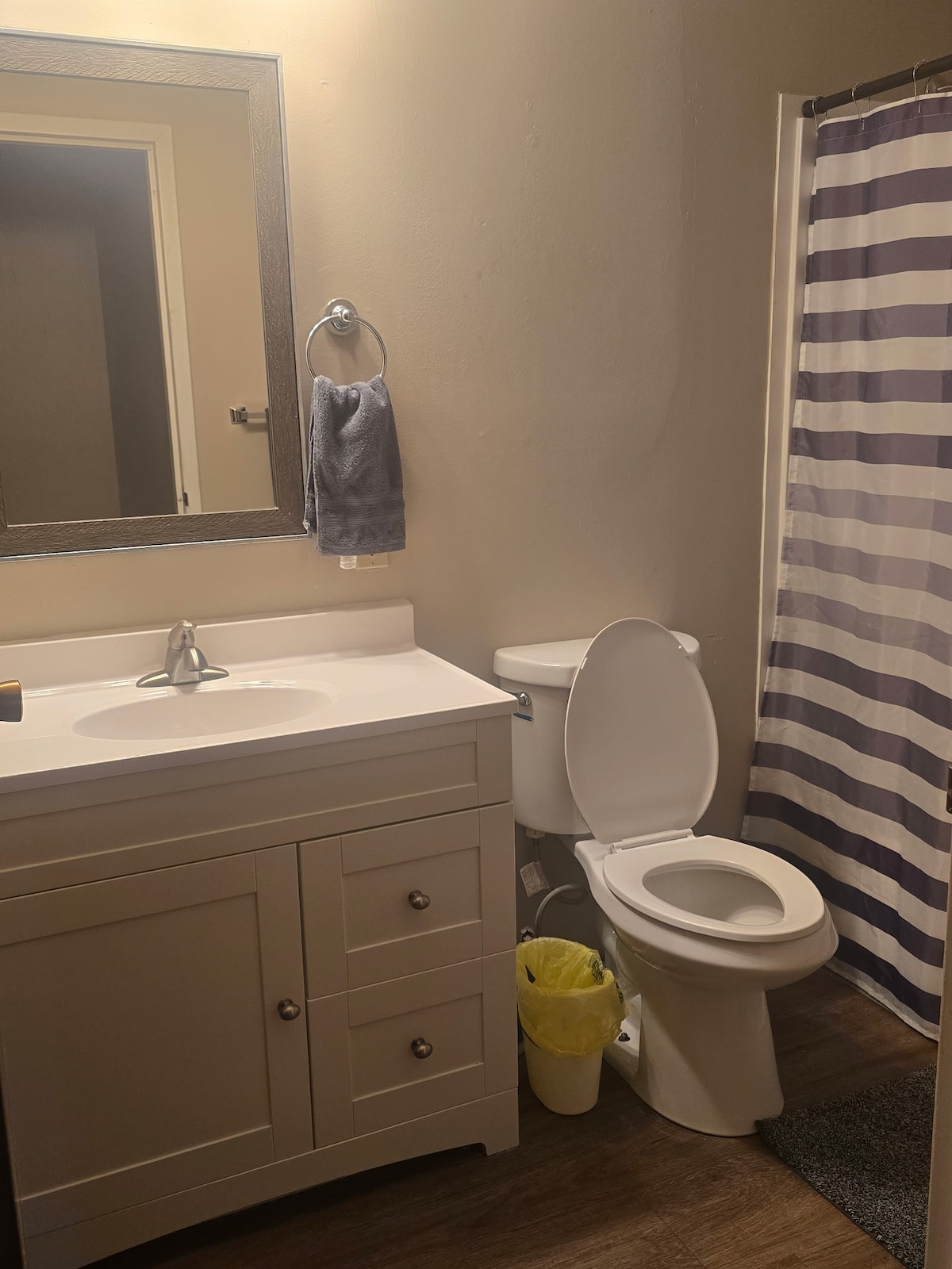 A well-lit bathroom features a white vanity with a sink and a large mirror above it. A shower with a striped curtain is present, alongside a toilet and a small wastebasket. Neutral tones create a clean and functional atmosphere.