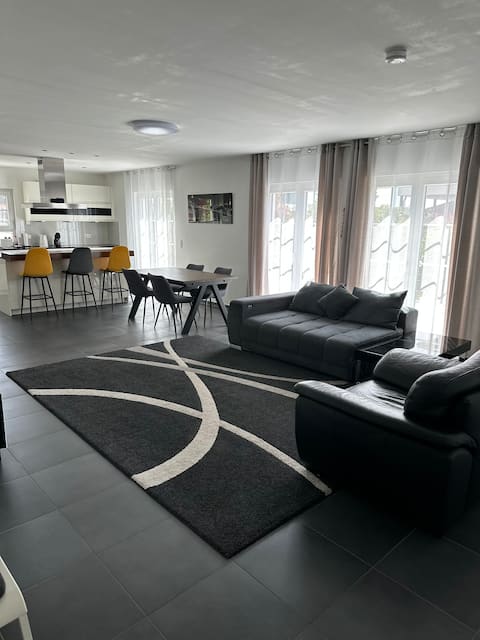 Contemporary large apartment near Europa-Park
