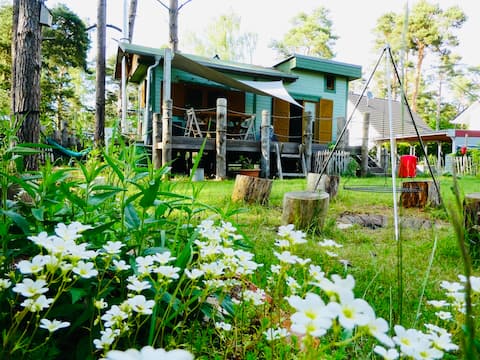 Pine cone - your outdoor home