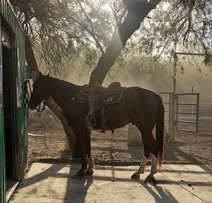 Campsite, Rope, Acreage!  Full Rv Hookups & Horse - Wickenburg, AZ