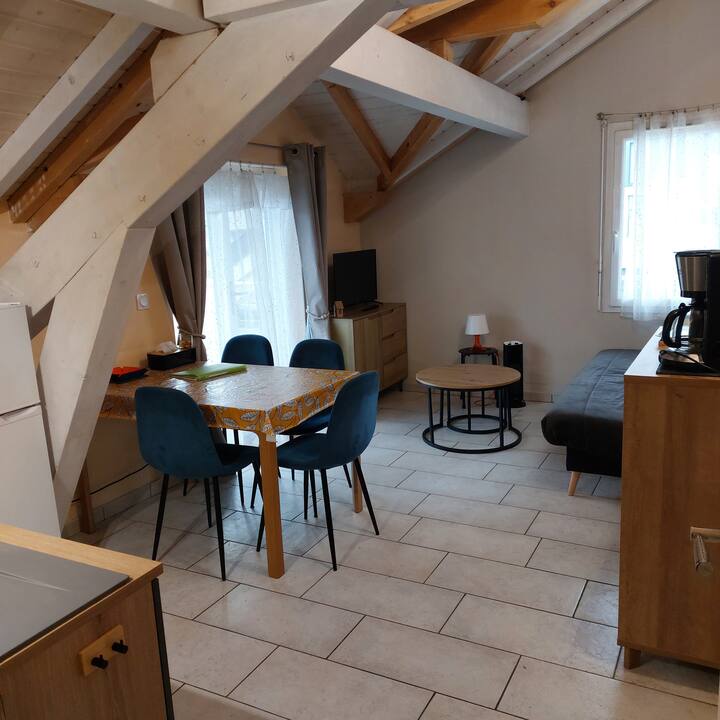 Appartement 2 Pièces Entre Lac Léman Et Chamonix - Bonneville