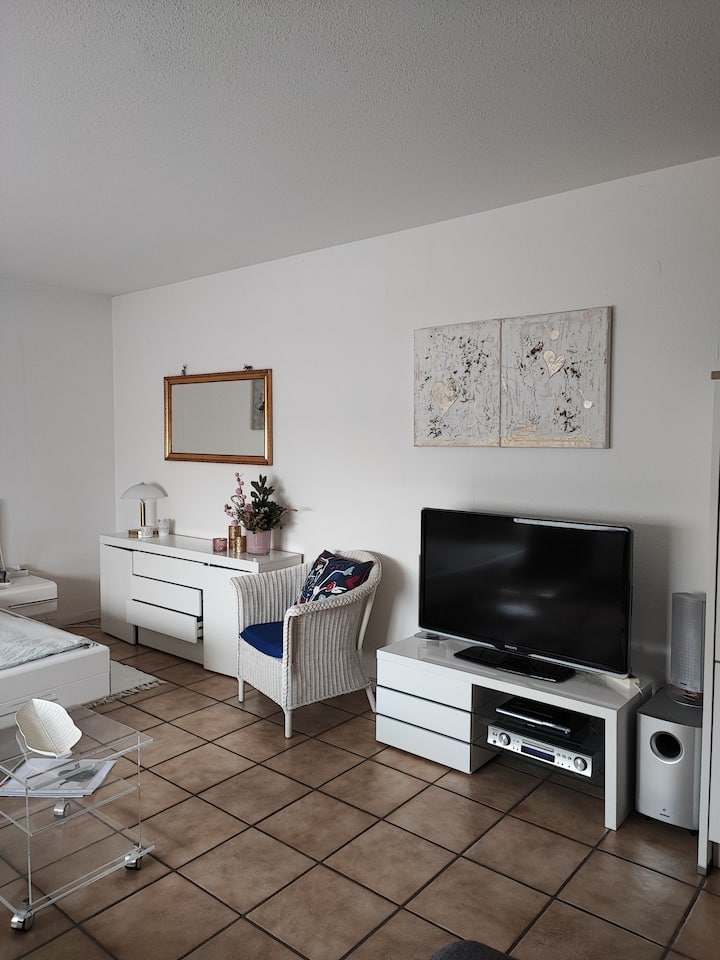 Apartment Mit  Stil Und Komfort  / Wifi Kostenlos - Kaiserslautern