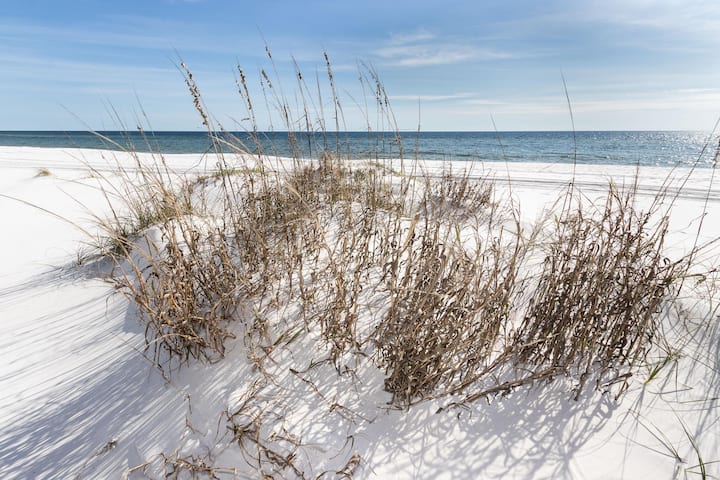 318 Island Princess ~Gulf Front 2bed/2bath Sleeps - 플로리다