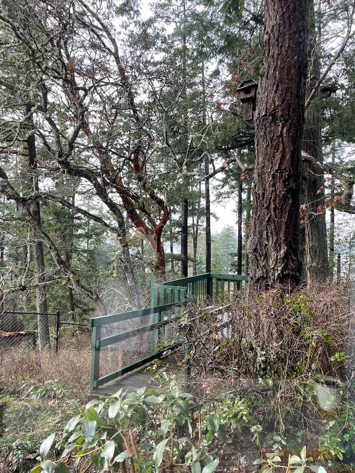 Lg.spacious/sea Glimpse/br/prv/quiet/nature/garden - Saanich