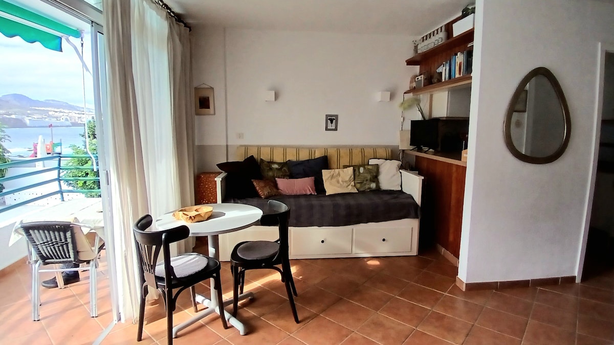 Successful Airbnb property: Magnificent Studio in San Cristóbal De La Laguna
