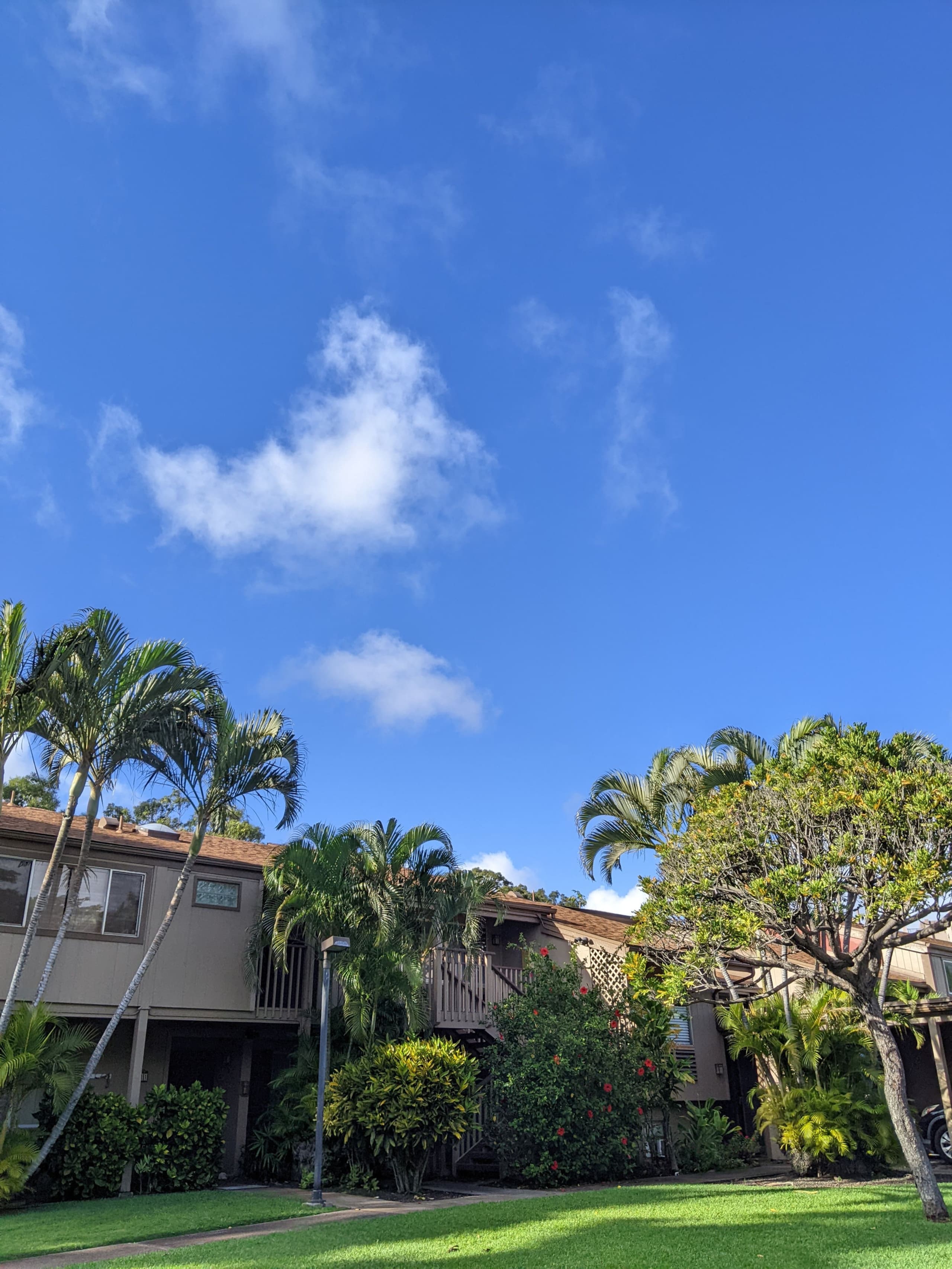 Townhouse in Lahaina · ★4.96 · 3 bedrooms · 4 beds · 1.5 baths - Image 27
